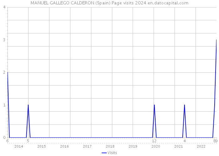 MANUEL GALLEGO CALDERON (Spain) Page visits 2024 