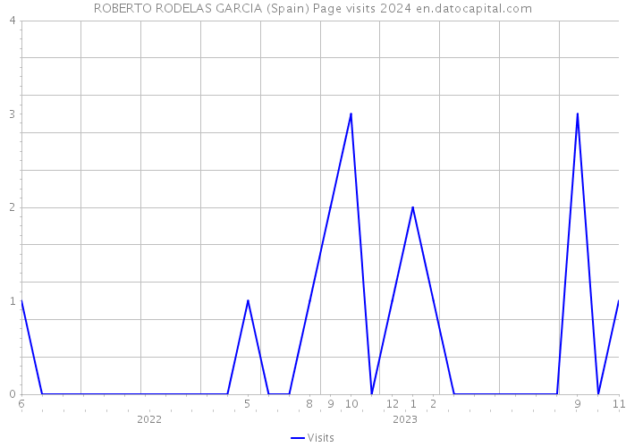 ROBERTO RODELAS GARCIA (Spain) Page visits 2024 