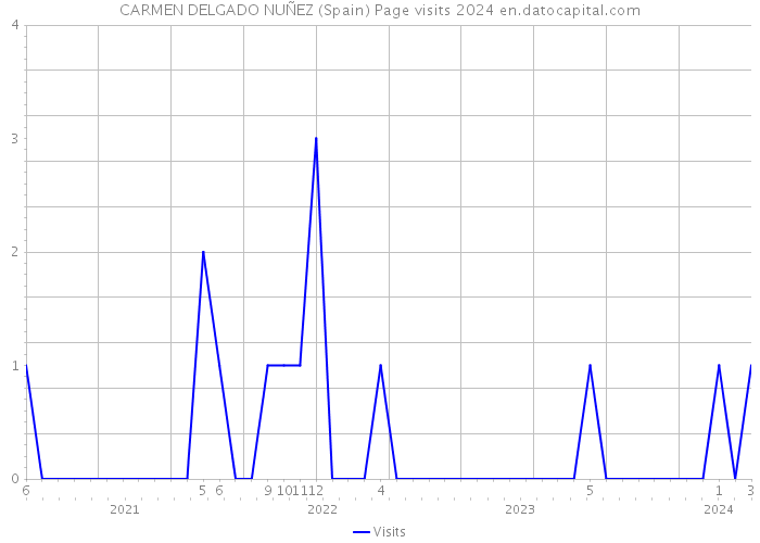 CARMEN DELGADO NUÑEZ (Spain) Page visits 2024 