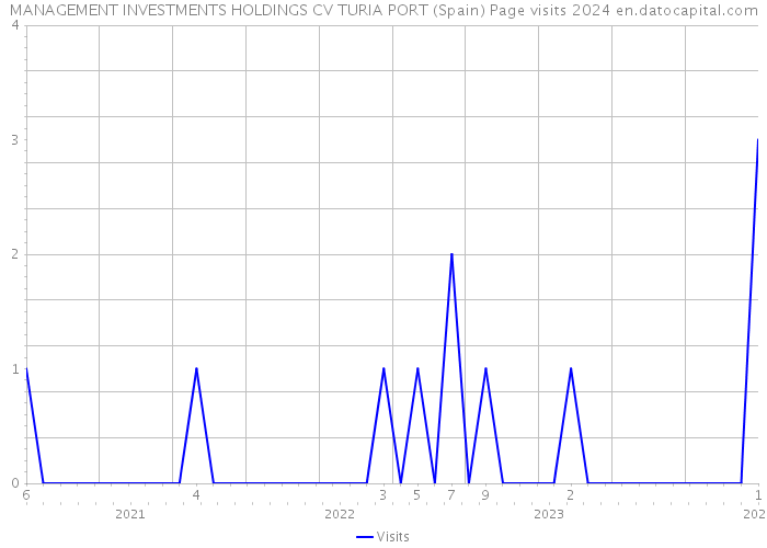 MANAGEMENT INVESTMENTS HOLDINGS CV TURIA PORT (Spain) Page visits 2024 