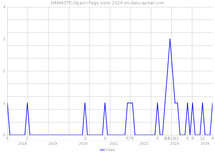 NAMASTE (Spain) Page visits 2024 