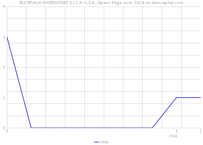 BUCEFALIA INVERSIONES S.I.C.A.V.,S.A. (Spain) Page visits 2024 