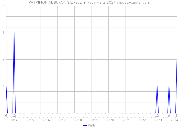 PATRIMONIAL BURON S.L. (Spain) Page visits 2024 