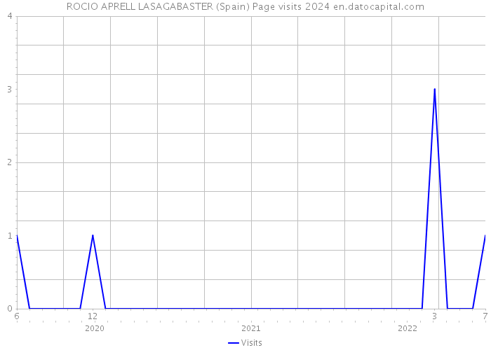 ROCIO APRELL LASAGABASTER (Spain) Page visits 2024 