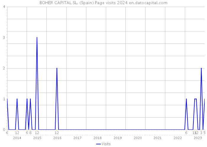 BOHER CAPITAL SL. (Spain) Page visits 2024 