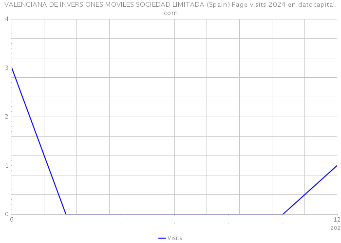 VALENCIANA DE INVERSIONES MOVILES SOCIEDAD LIMITADA (Spain) Page visits 2024 