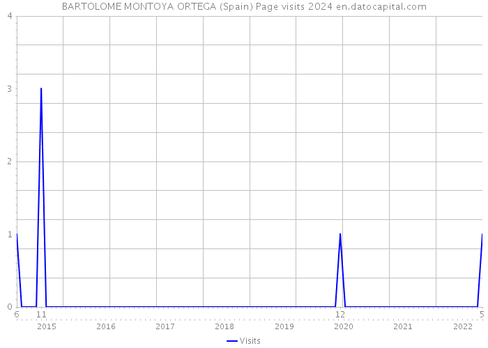 BARTOLOME MONTOYA ORTEGA (Spain) Page visits 2024 