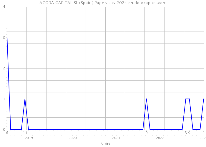 AGORA CAPITAL SL (Spain) Page visits 2024 