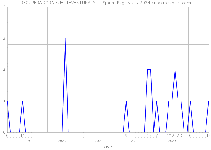 RECUPERADORA FUERTEVENTURA S.L. (Spain) Page visits 2024 