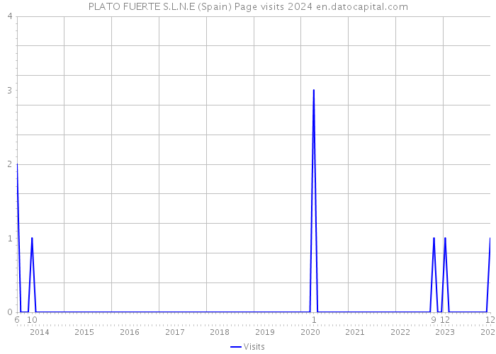 PLATO FUERTE S.L.N.E (Spain) Page visits 2024 