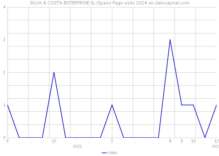 SILVA & COSTA ENTERPRISE SL (Spain) Page visits 2024 