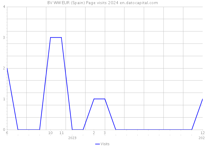 BV WW EUR (Spain) Page visits 2024 