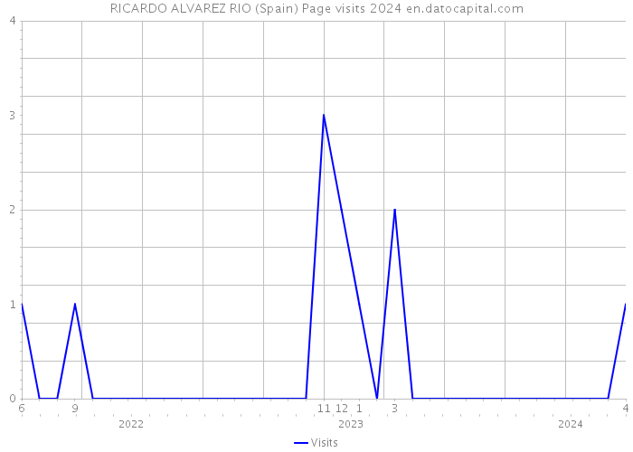 RICARDO ALVAREZ RIO (Spain) Page visits 2024 