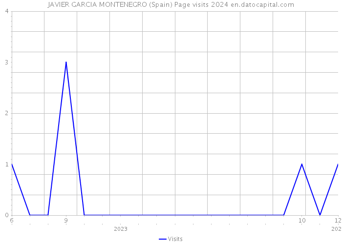 JAVIER GARCIA MONTENEGRO (Spain) Page visits 2024 