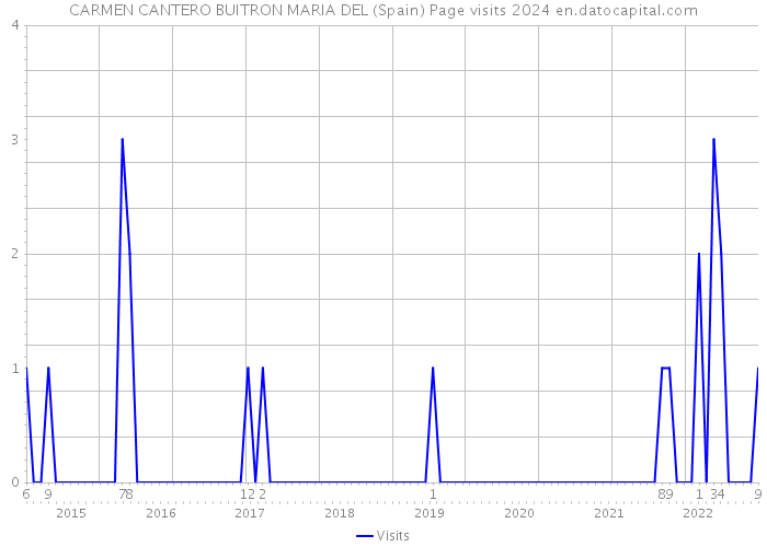 CARMEN CANTERO BUITRON MARIA DEL (Spain) Page visits 2024 