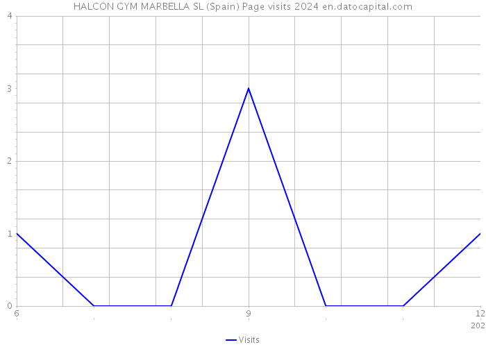 HALCON GYM MARBELLA SL (Spain) Page visits 2024 
