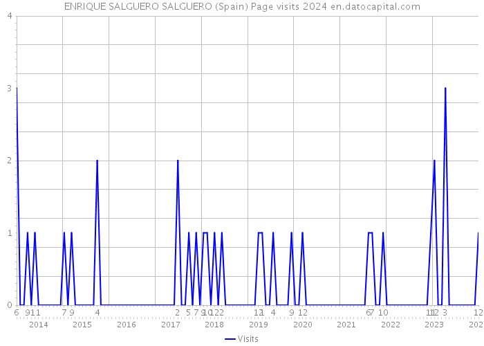 ENRIQUE SALGUERO SALGUERO (Spain) Page visits 2024 