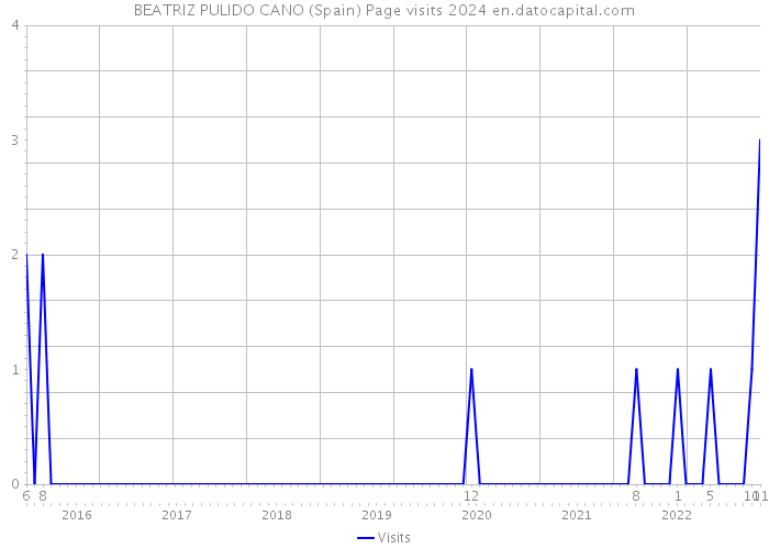BEATRIZ PULIDO CANO (Spain) Page visits 2024 
