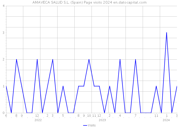AMAVECA SALUD S.L. (Spain) Page visits 2024 
