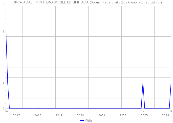 HORCAJADAS I MONTERO SOCIEDAD LIMITADA (Spain) Page visits 2024 