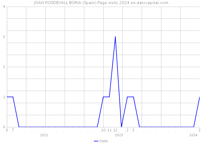 JOAN ROSDEVALL BORIA (Spain) Page visits 2024 