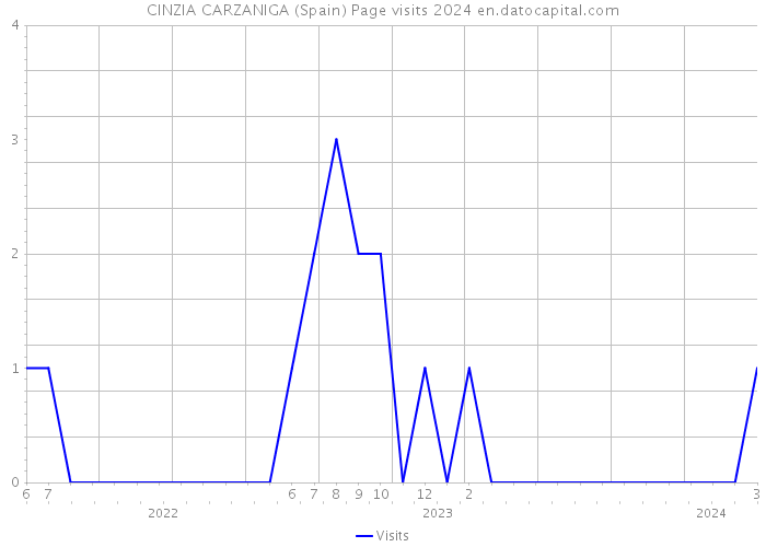 CINZIA CARZANIGA (Spain) Page visits 2024 