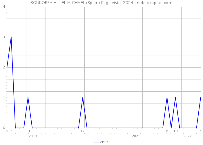 BOUKOBZA HILLEL MICHAEL (Spain) Page visits 2024 