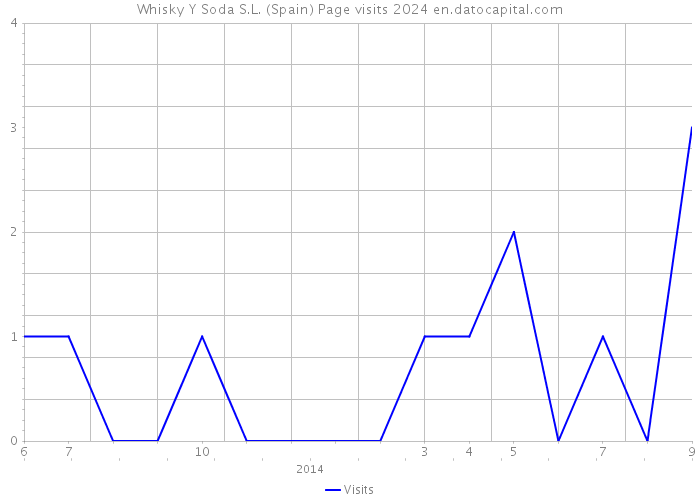 Whisky Y Soda S.L. (Spain) Page visits 2024 