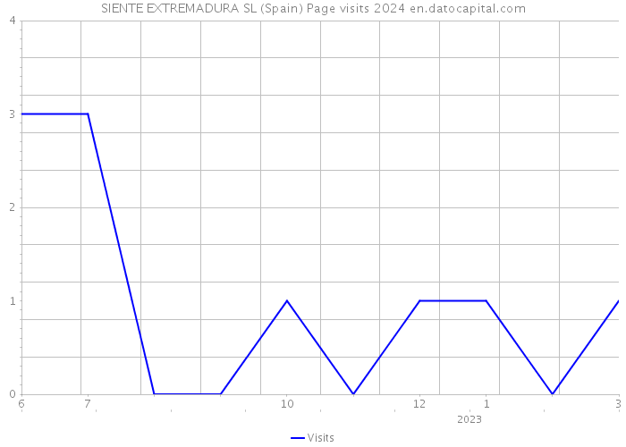 SIENTE EXTREMADURA SL (Spain) Page visits 2024 