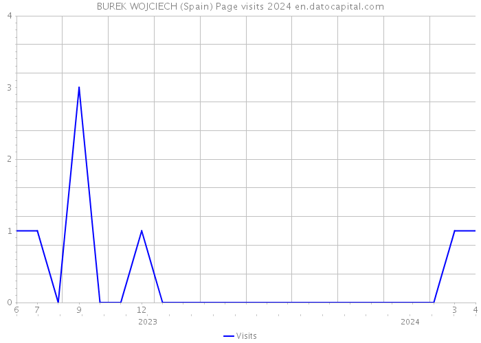 BUREK WOJCIECH (Spain) Page visits 2024 