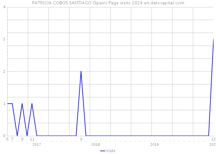 PATRICIA COBOS SANTIAGO (Spain) Page visits 2024 