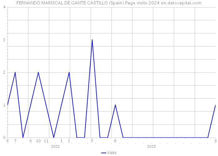 FERNANDO MARISCAL DE GANTE CASTILLO (Spain) Page visits 2024 