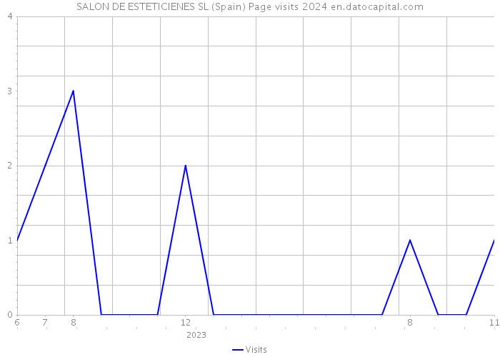 SALON DE ESTETICIENES SL (Spain) Page visits 2024 