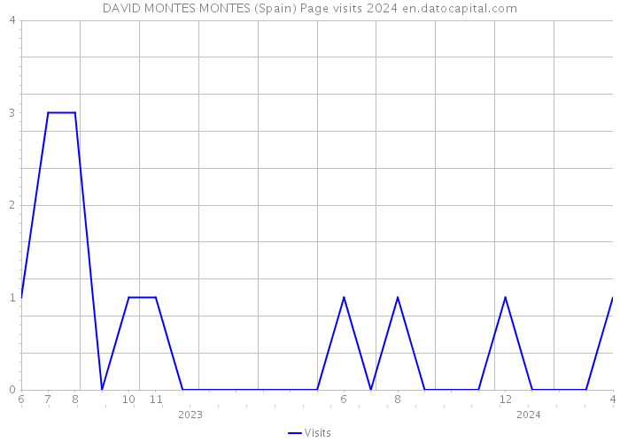 DAVID MONTES MONTES (Spain) Page visits 2024 