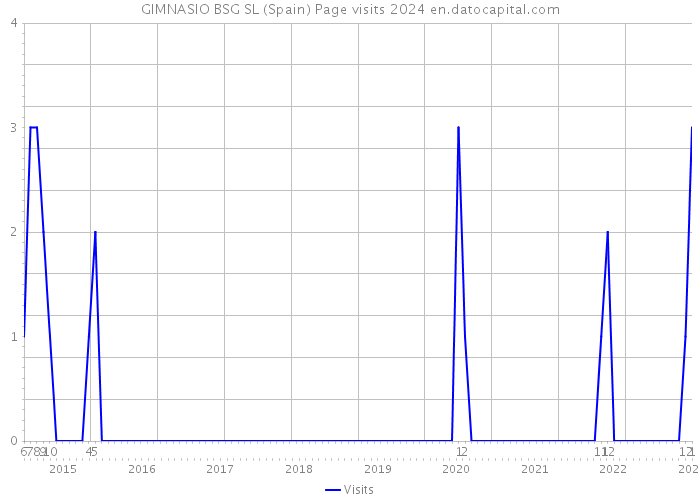 GIMNASIO BSG SL (Spain) Page visits 2024 