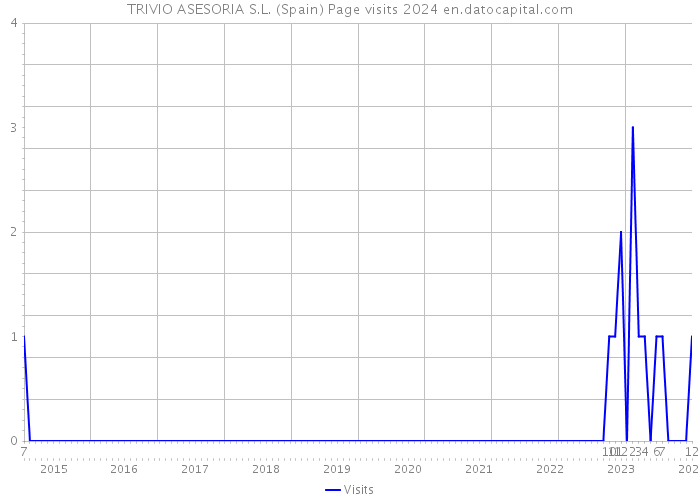 TRIVIO ASESORIA S.L. (Spain) Page visits 2024 