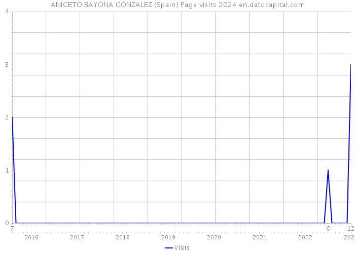 ANICETO BAYONA GONZALEZ (Spain) Page visits 2024 