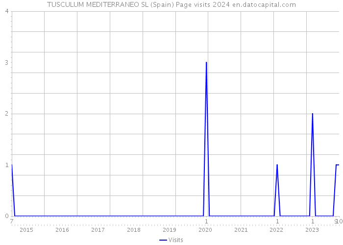 TUSCULUM MEDITERRANEO SL (Spain) Page visits 2024 