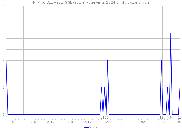 INTANGIBLE ASSETS SL (Spain) Page visits 2024 