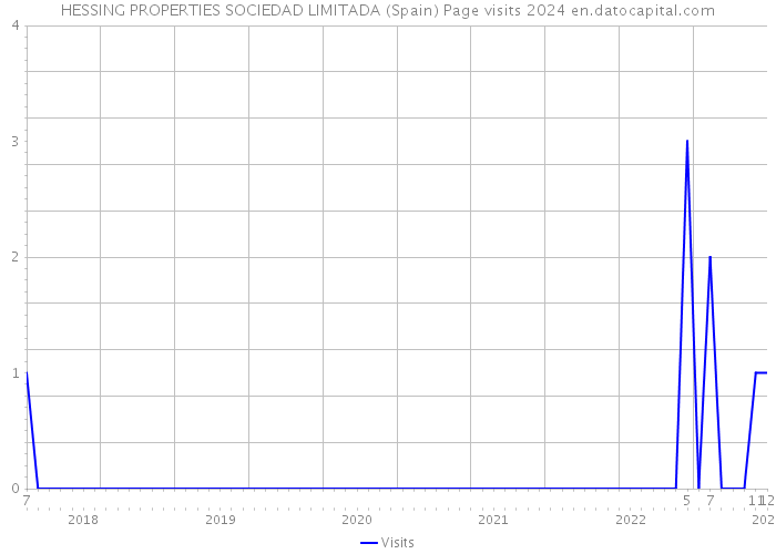 HESSING PROPERTIES SOCIEDAD LIMITADA (Spain) Page visits 2024 