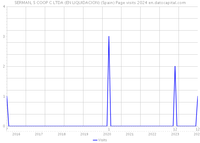 SERMAN, S COOP C LTDA (EN LIQUIDACION) (Spain) Page visits 2024 