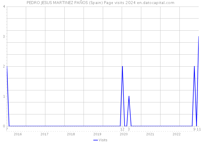 PEDRO JESUS MARTINEZ PAÑOS (Spain) Page visits 2024 