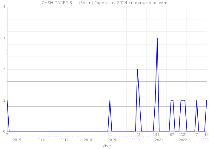 CASH CARRY S. L. (Spain) Page visits 2024 