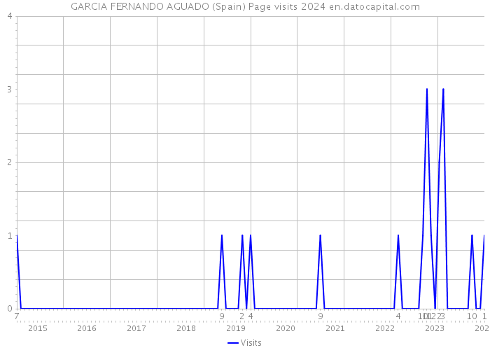 GARCIA FERNANDO AGUADO (Spain) Page visits 2024 
