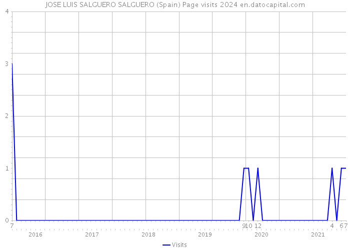 JOSE LUIS SALGUERO SALGUERO (Spain) Page visits 2024 
