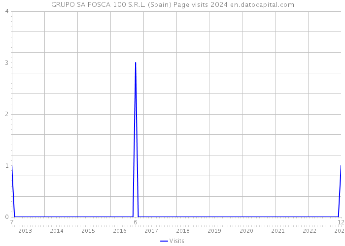 GRUPO SA FOSCA 100 S.R.L. (Spain) Page visits 2024 