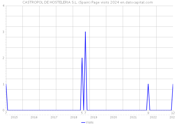 CASTROPOL DE HOSTELERIA S.L. (Spain) Page visits 2024 
