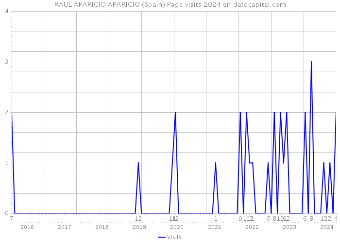 RAUL APARICIO APARICIO (Spain) Page visits 2024 