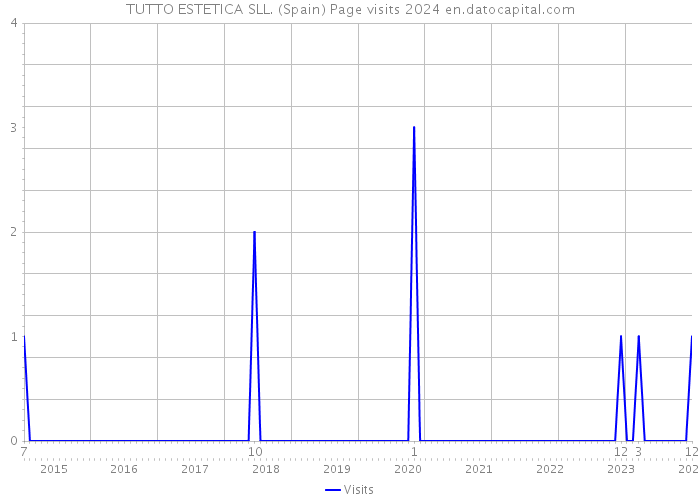 TUTTO ESTETICA SLL. (Spain) Page visits 2024 