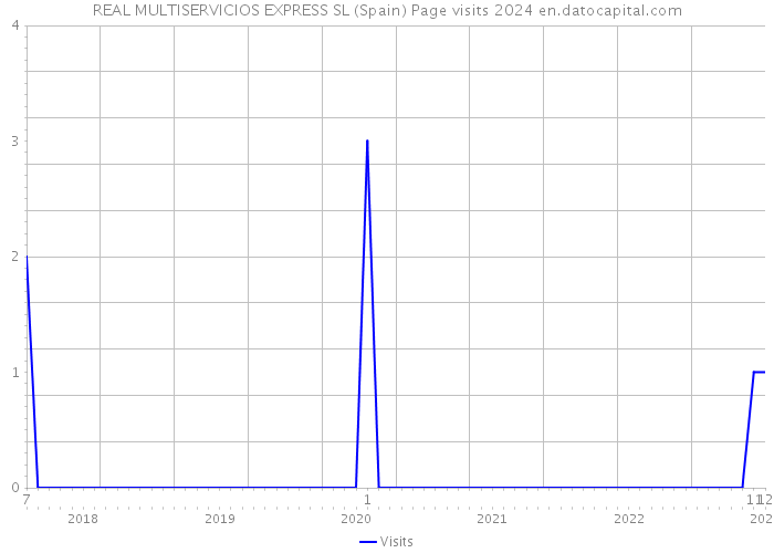 REAL MULTISERVICIOS EXPRESS SL (Spain) Page visits 2024 